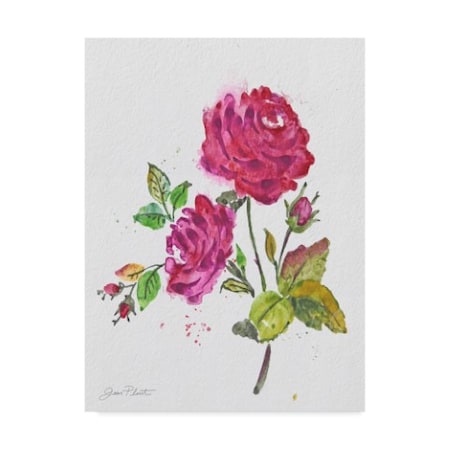 Jean Plout 'Watercolor Flowers 7' Canvas Art,18x24
